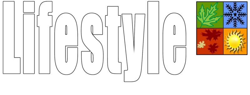 Lifestyle_logo_all_white_blackborder_colorbox